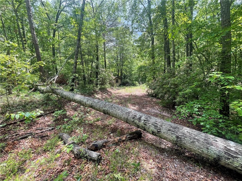 365 Rocky Knoll Road Walhalla, SC 29691 - Photo 9 of 20 Gallery Image 9
