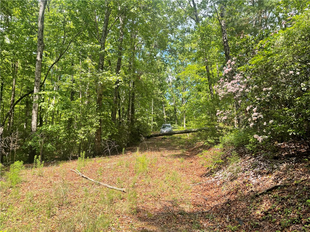 365 Rocky Knoll Road Walhalla, SC 29691 - Photo 10 of 20 Gallery Image 10