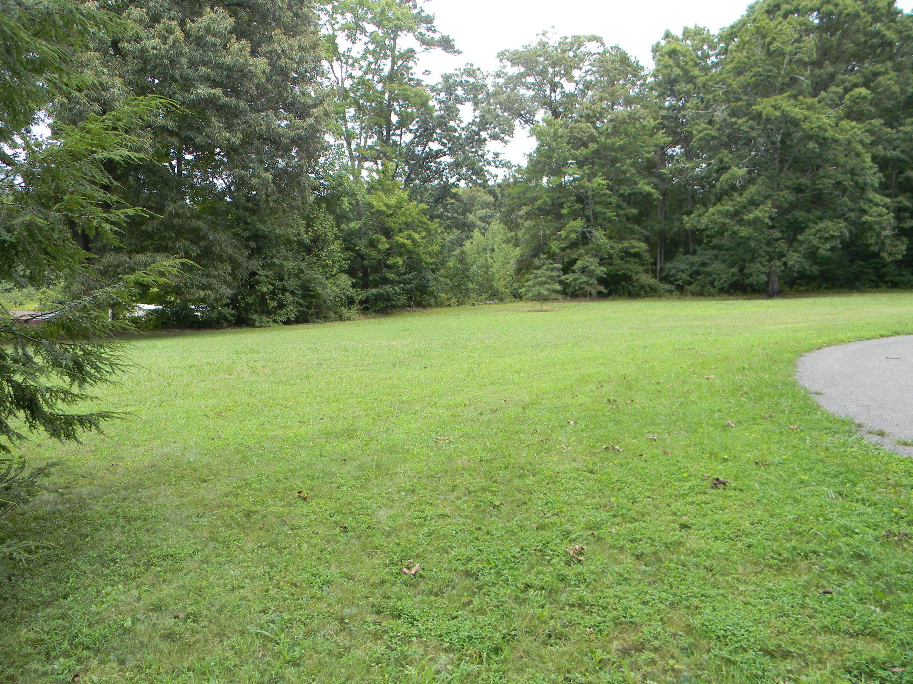 9638 Crisman Road Heiskell, TN 37754 - Photo 9 of 31 DGraves 0810 004