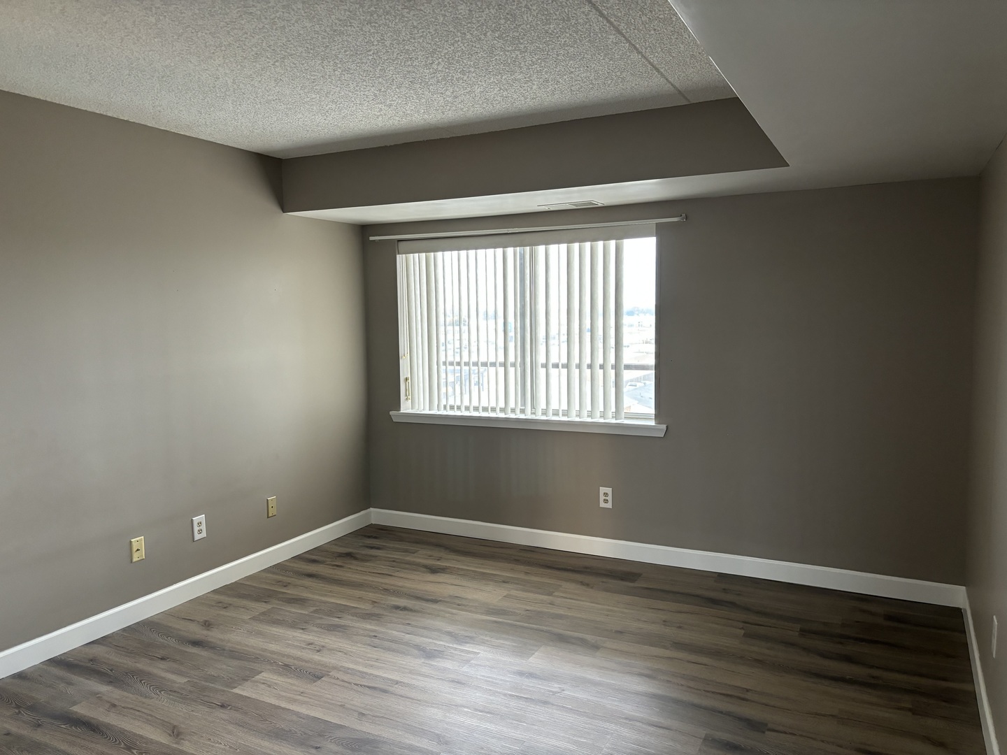 1133 North 7th Street, Unit 608 Rochelle, IL 61068 - Photo 26 of 43 an empty room with wooden floor and windows