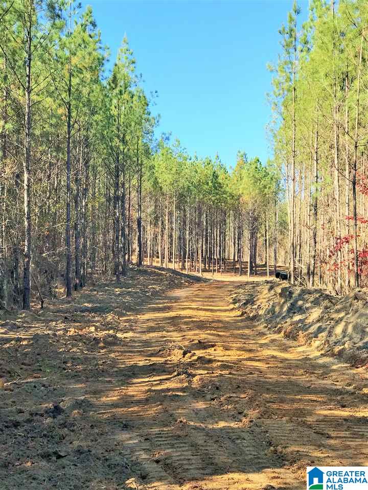 22 Highway 69 Chelsea Al, Unit 17 Chelsea, AL 35043 - Photo 2 of 5