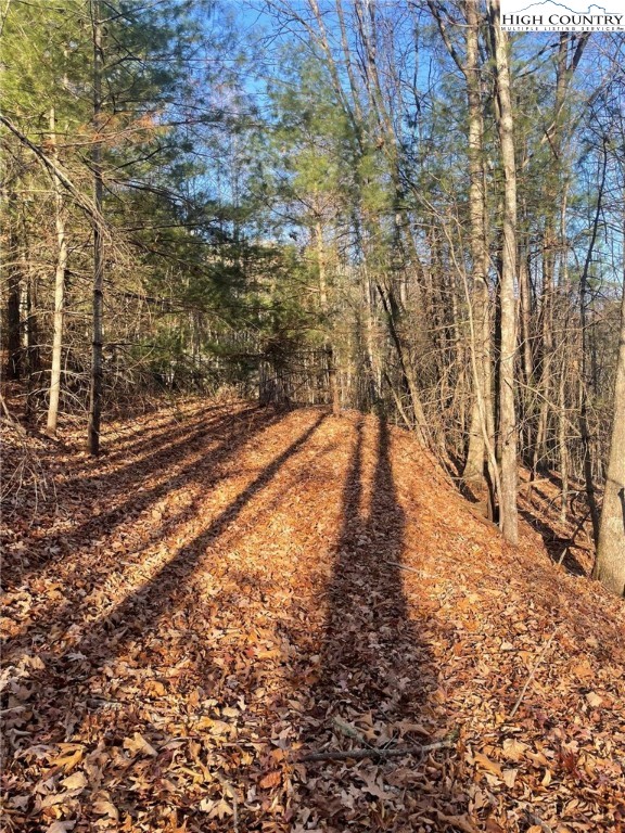 306 Marshall's Way Jefferson, NC 28640 - Photo 12 of 19