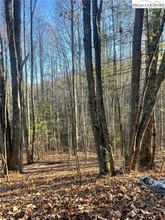 306 Marshall's Way Jefferson, NC 28640 - Photo 13 of 19