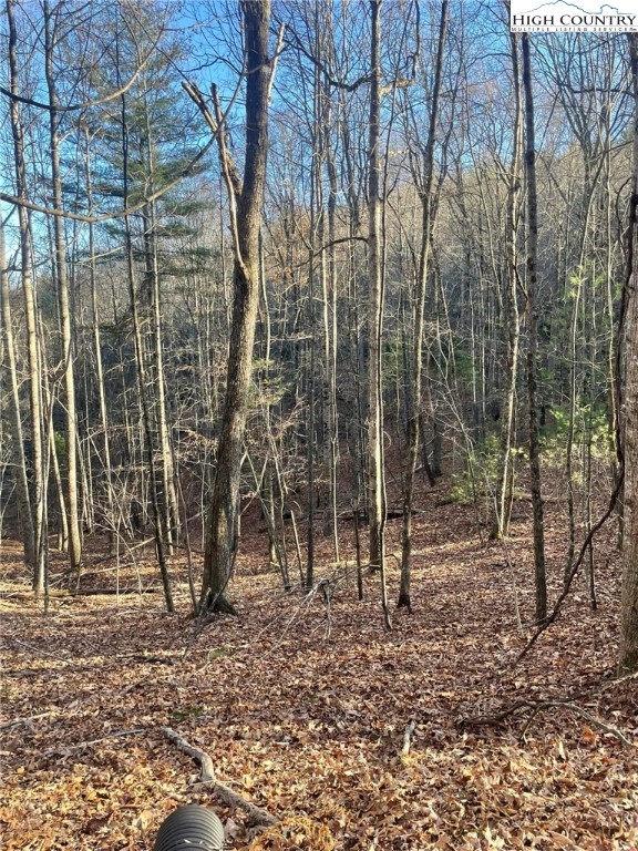 306 Marshall's Way Jefferson, NC 28640 - Photo 15 of 19