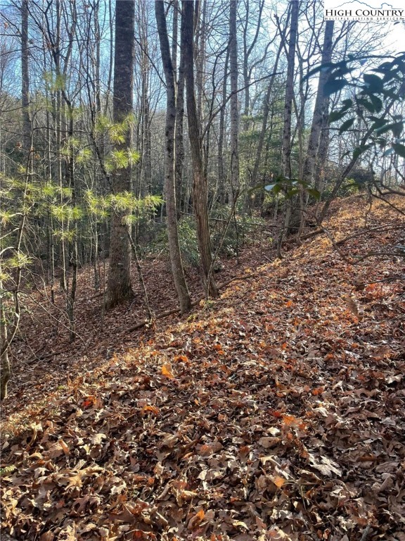 306 Marshall's Way Jefferson, NC 28640 - Photo 16 of 19