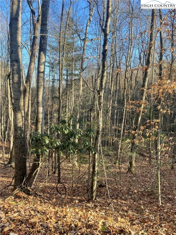 306 Marshall's Way Jefferson, NC 28640 - Photo 17 of 19