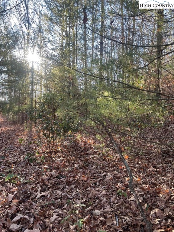 306 Marshall's Way Jefferson, NC 28640 - Photo 10 of 19