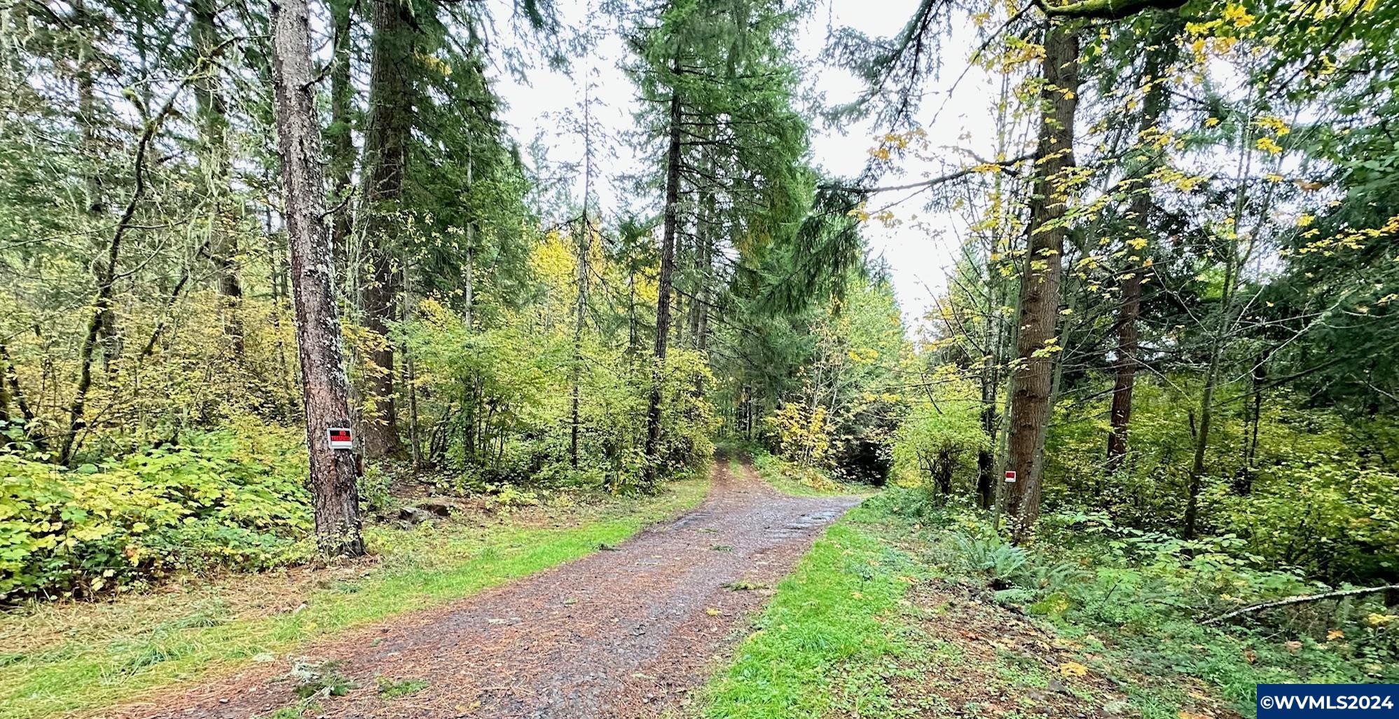 0 Abiqua Road Scotts Mills, OR 97375 - Photo 6 of 12