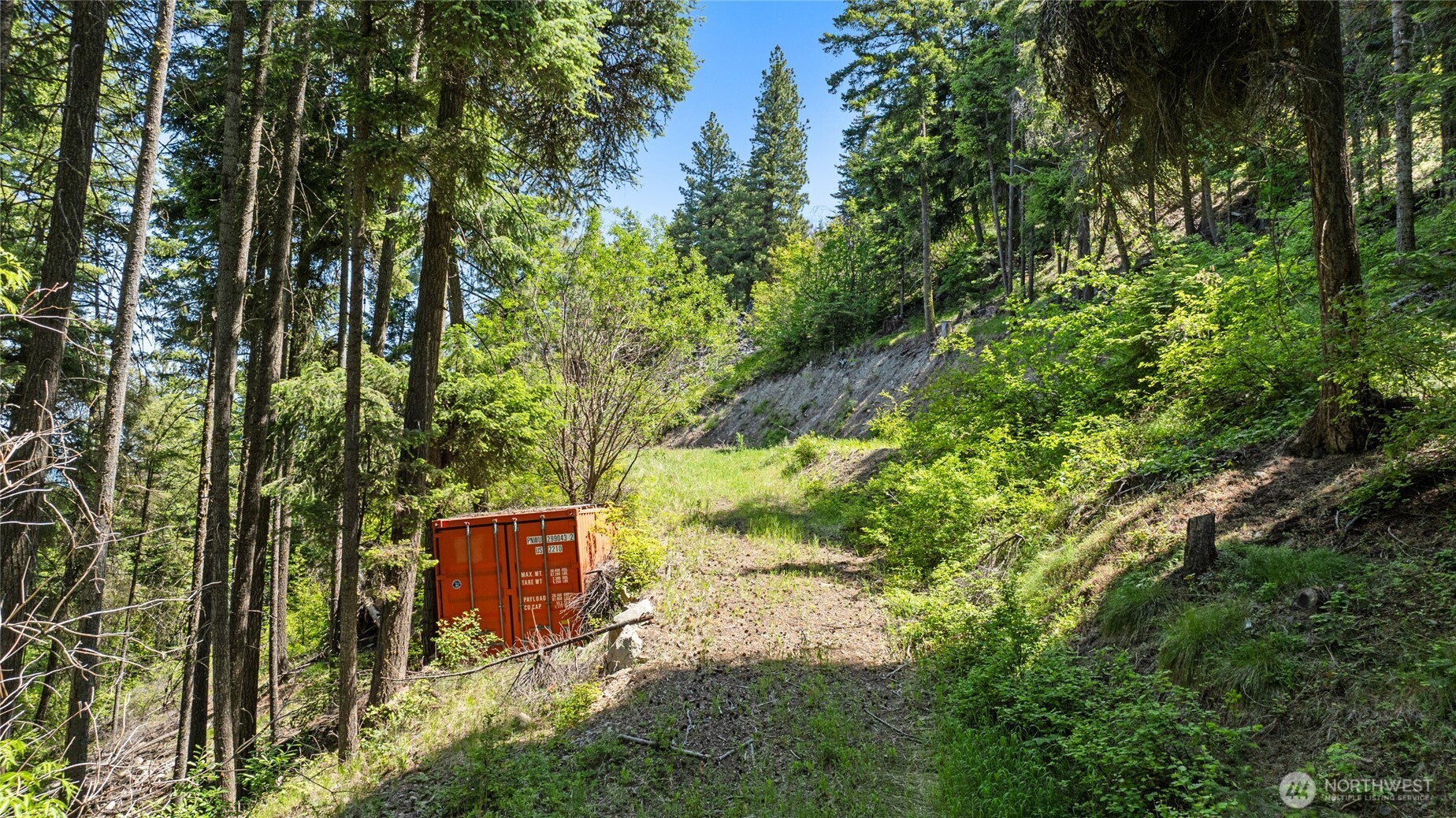 1208 Rodeo Road Cle Elum, WA 98922 - Photo 10 of 21