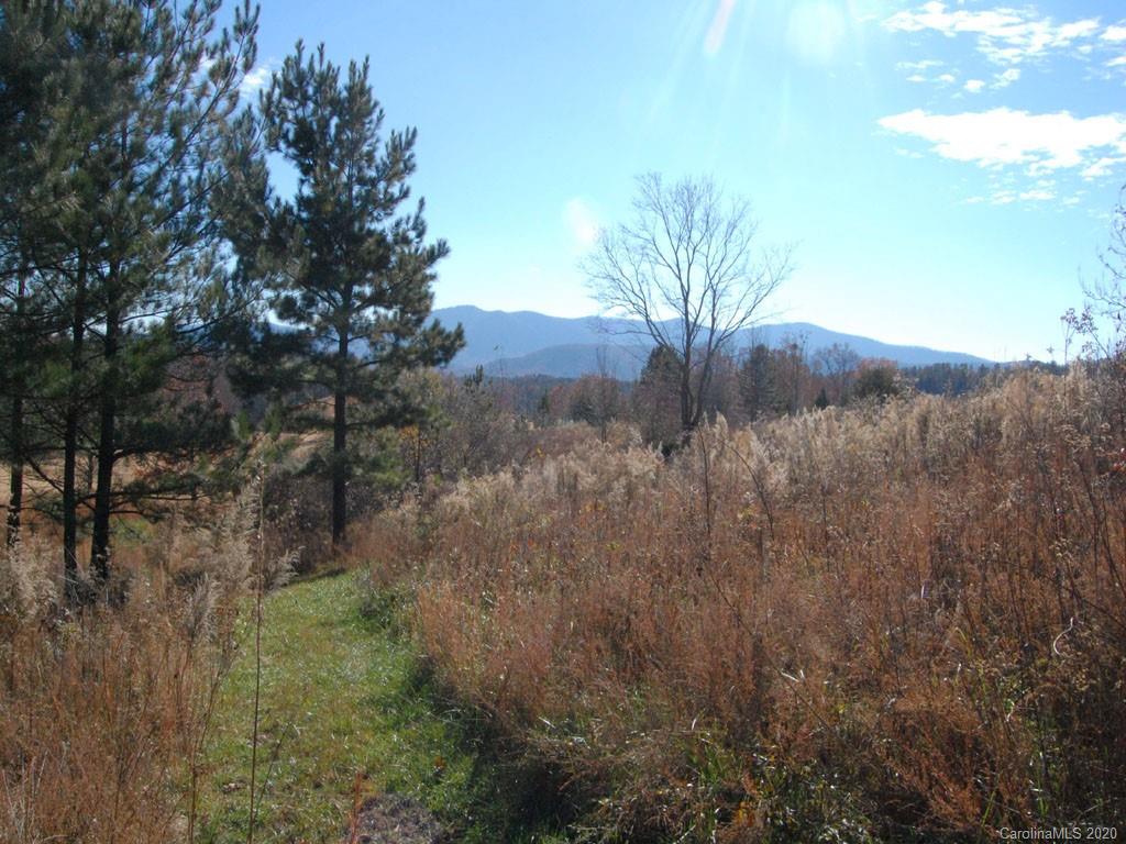 Lot 128 Deep Gap Rd Mill Spring Mill Spring, NC 28756 - Photo 1 of 4