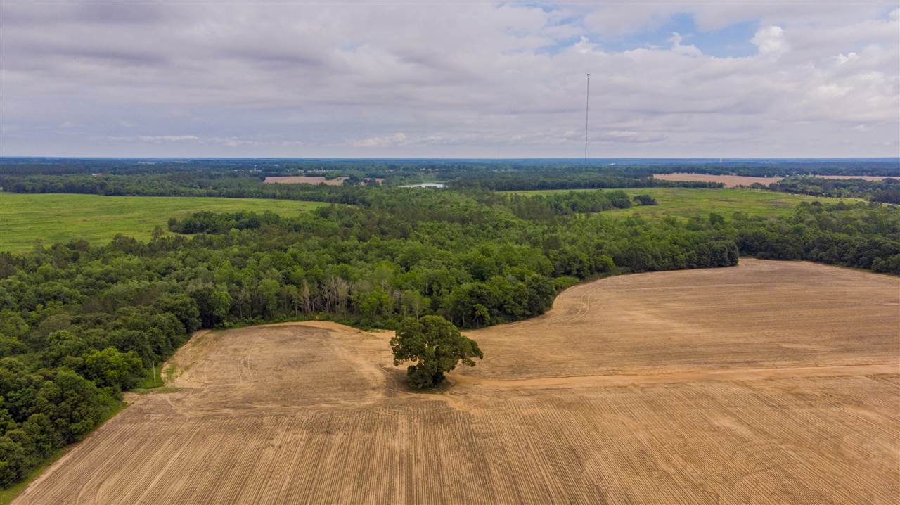 23900 Flowers Road Robertsdale, AL 36567 - Photo 4 of 13