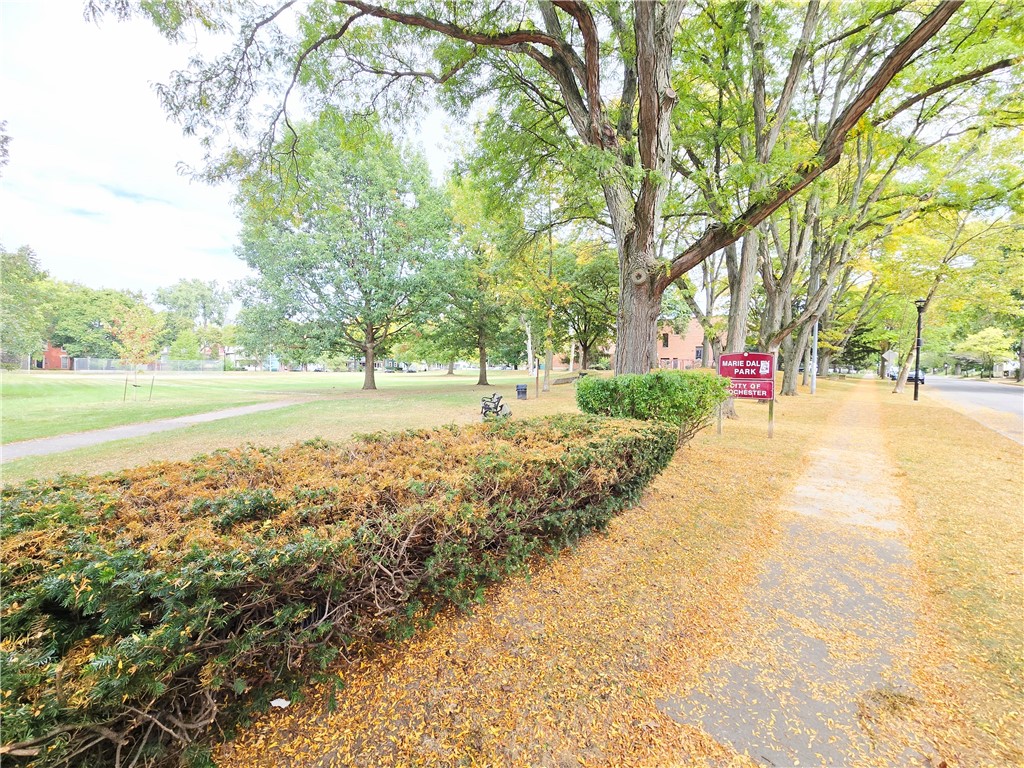 136 Gregory Street Rochester, NY 14620 - Photo 48 of 50