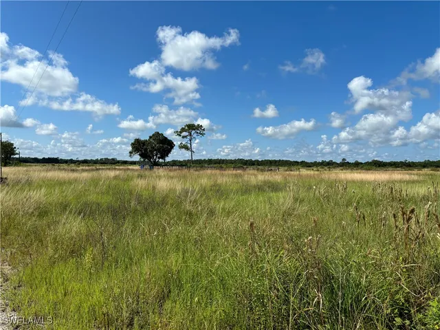 a view of a lake from a yard