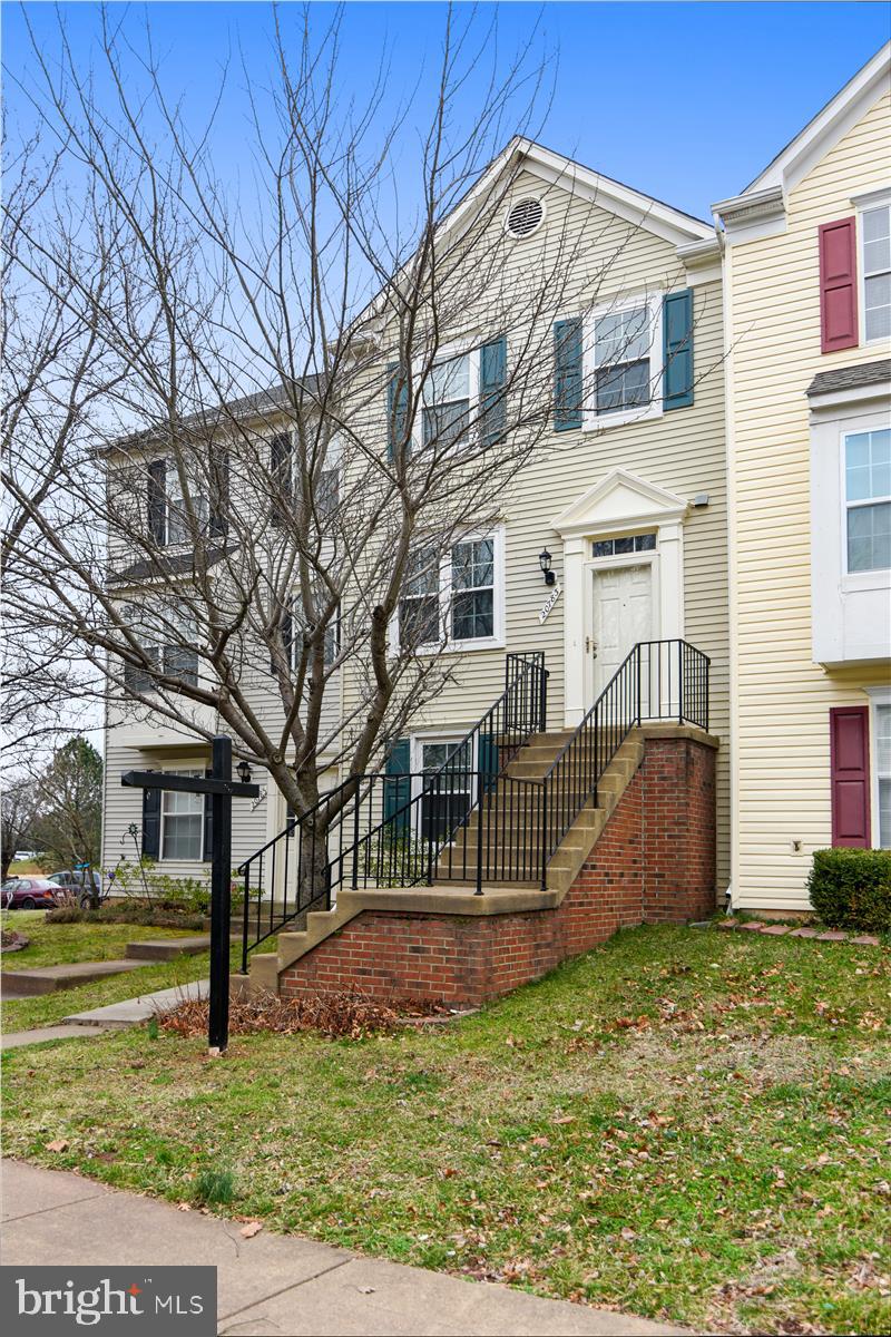 Spring flowering tree in front yard!