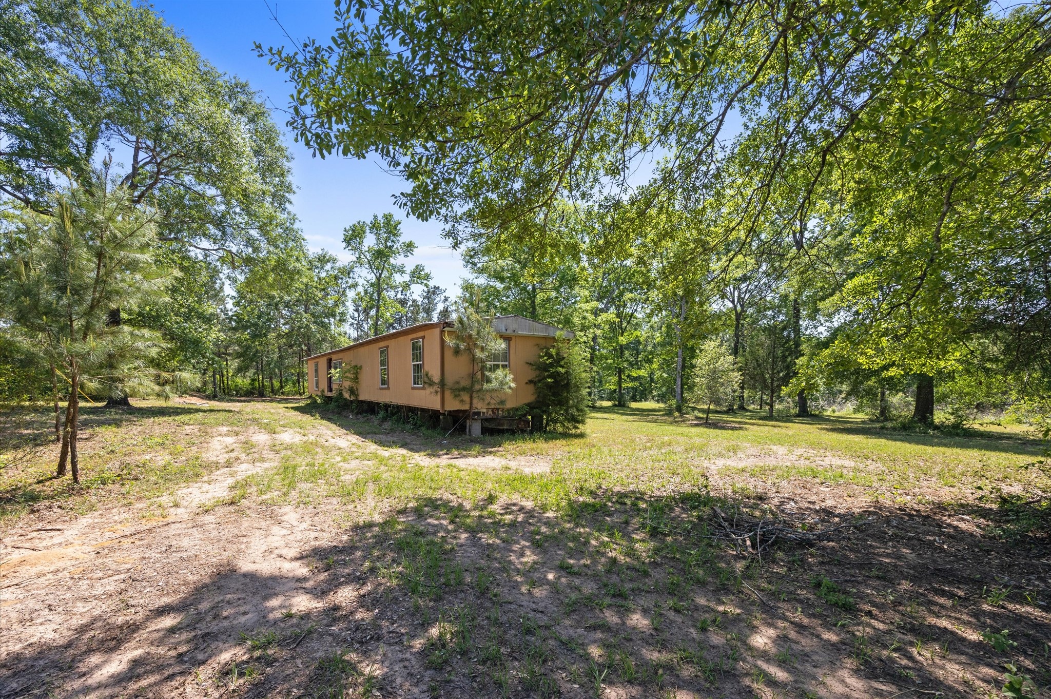 4804 Crockett Martin Road Conroe, TX 77306 - Photo 12 of 16 a view of a yard with large trees