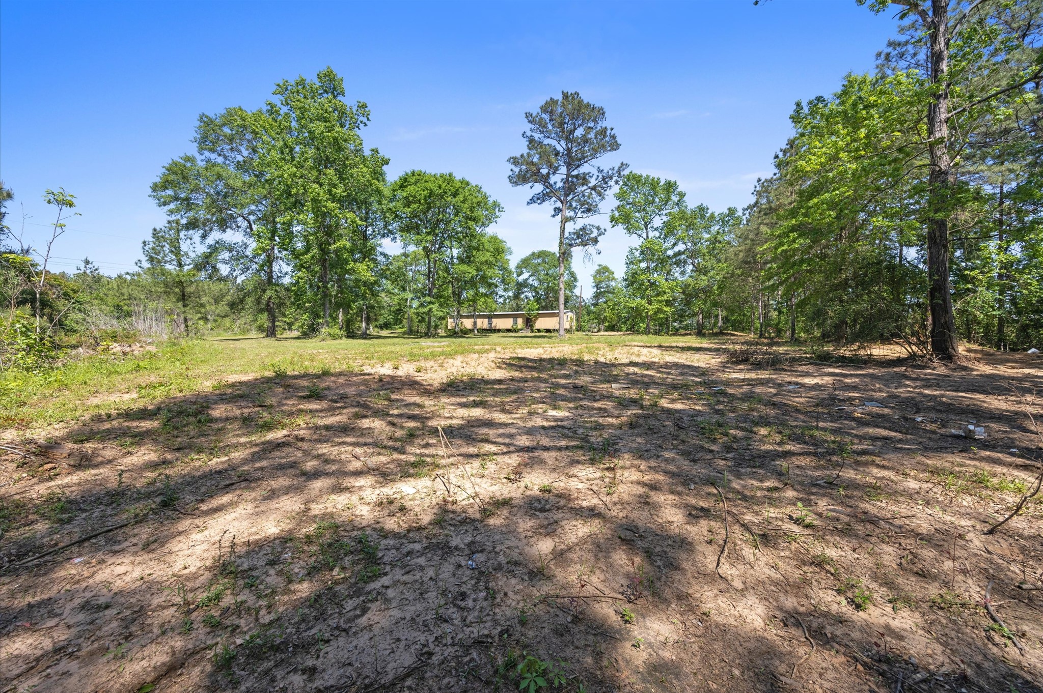 4804 Crockett Martin Road Conroe, TX 77306 - Photo 5 of 16 a view of a yard with a tree