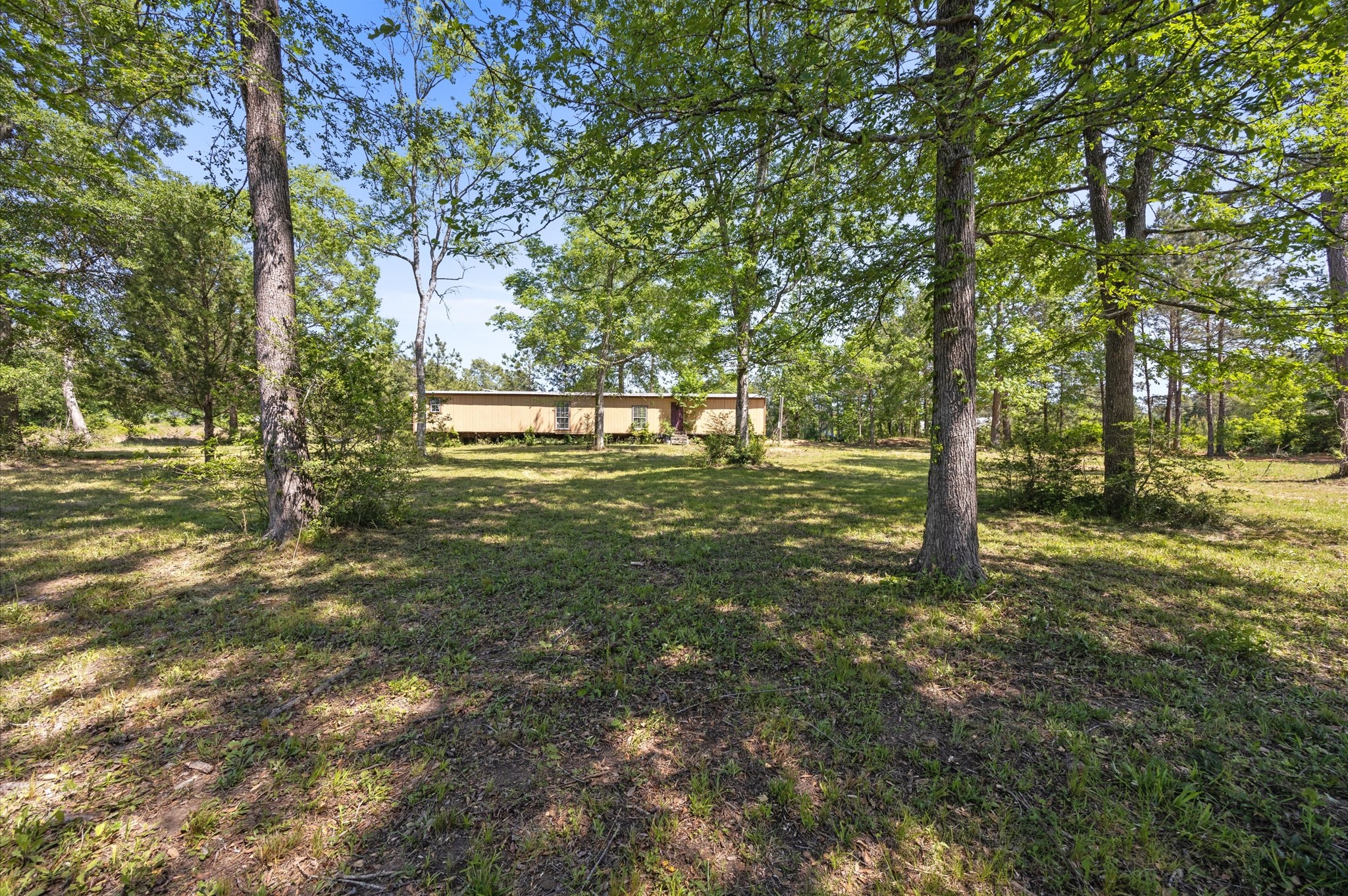 4804 Crockett Martin Road Conroe, TX 77306 - Photo 10 of 16 a backyard of a house with lots of green space