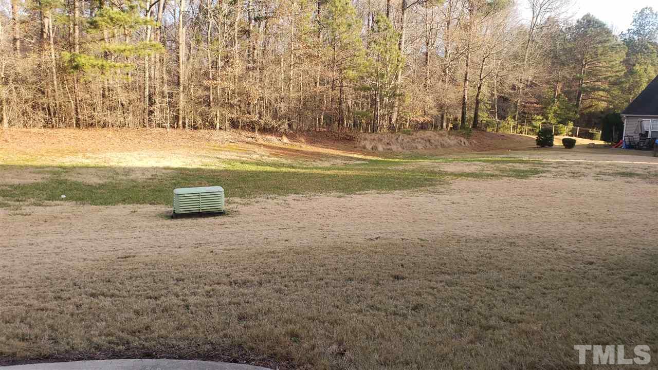 9708 Renfield Drive Raleigh, NC 27617 - Photo 23 of 24 a view of yard with ocean view