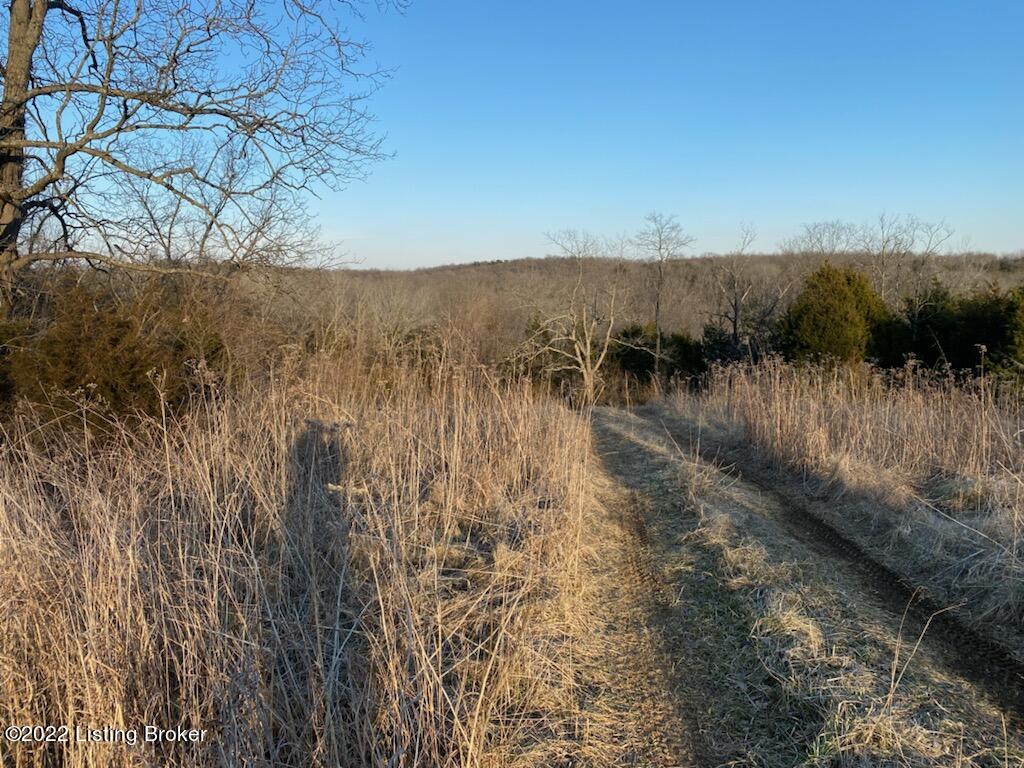 4 Hall Simpson Road Loretto, KY 40037 - Photo 5 of 19 IMG_5325