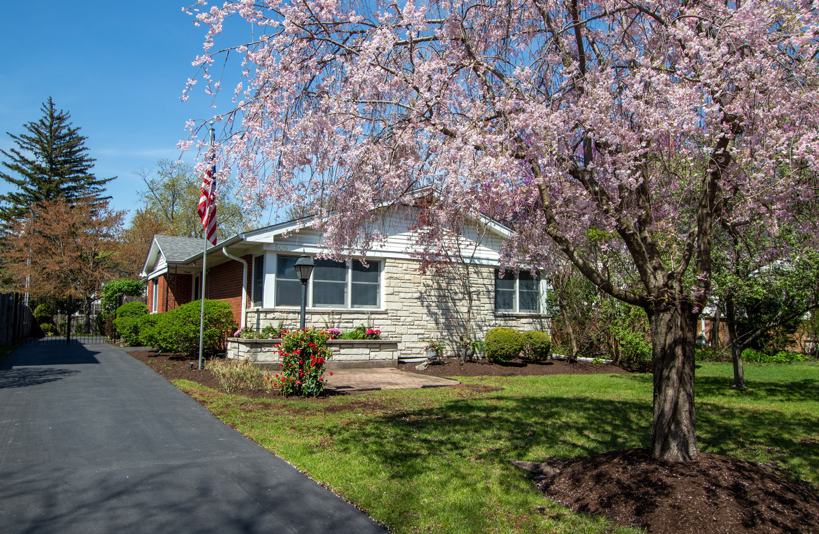 a front view of house with yard and green space