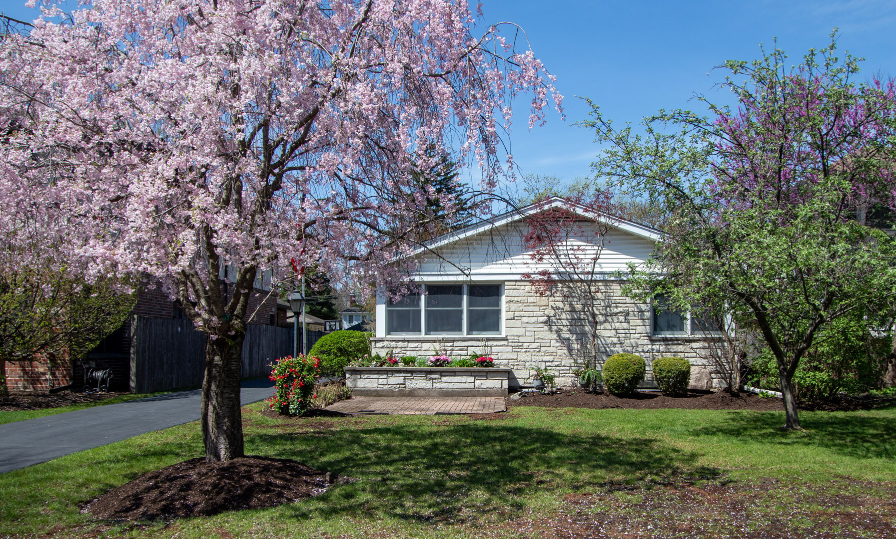 508 William Street River Forest, IL 60305 - Photo 2 of 2 a front view of a house with garden