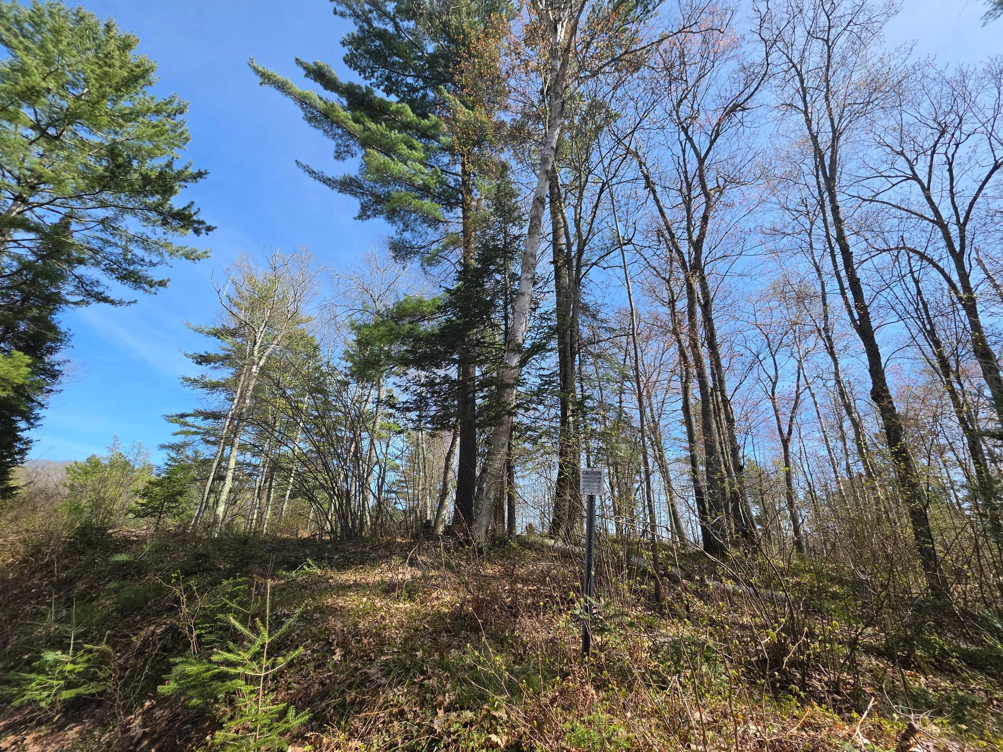 Lot 5 Little Bearskin Road Harshaw, WI 54529 - Photo 15 of 27