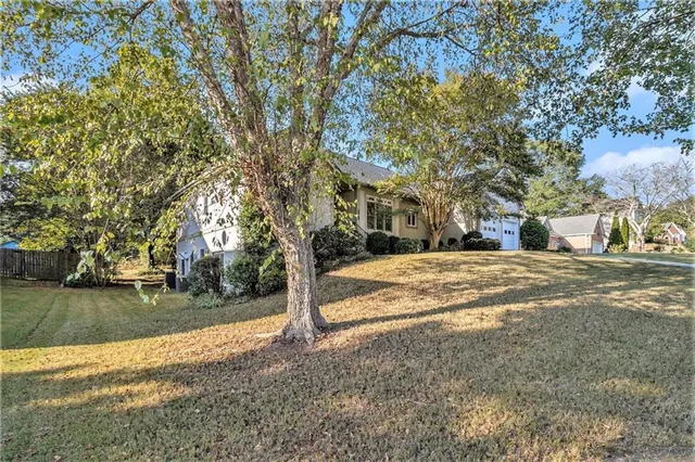 a view of road with large trees