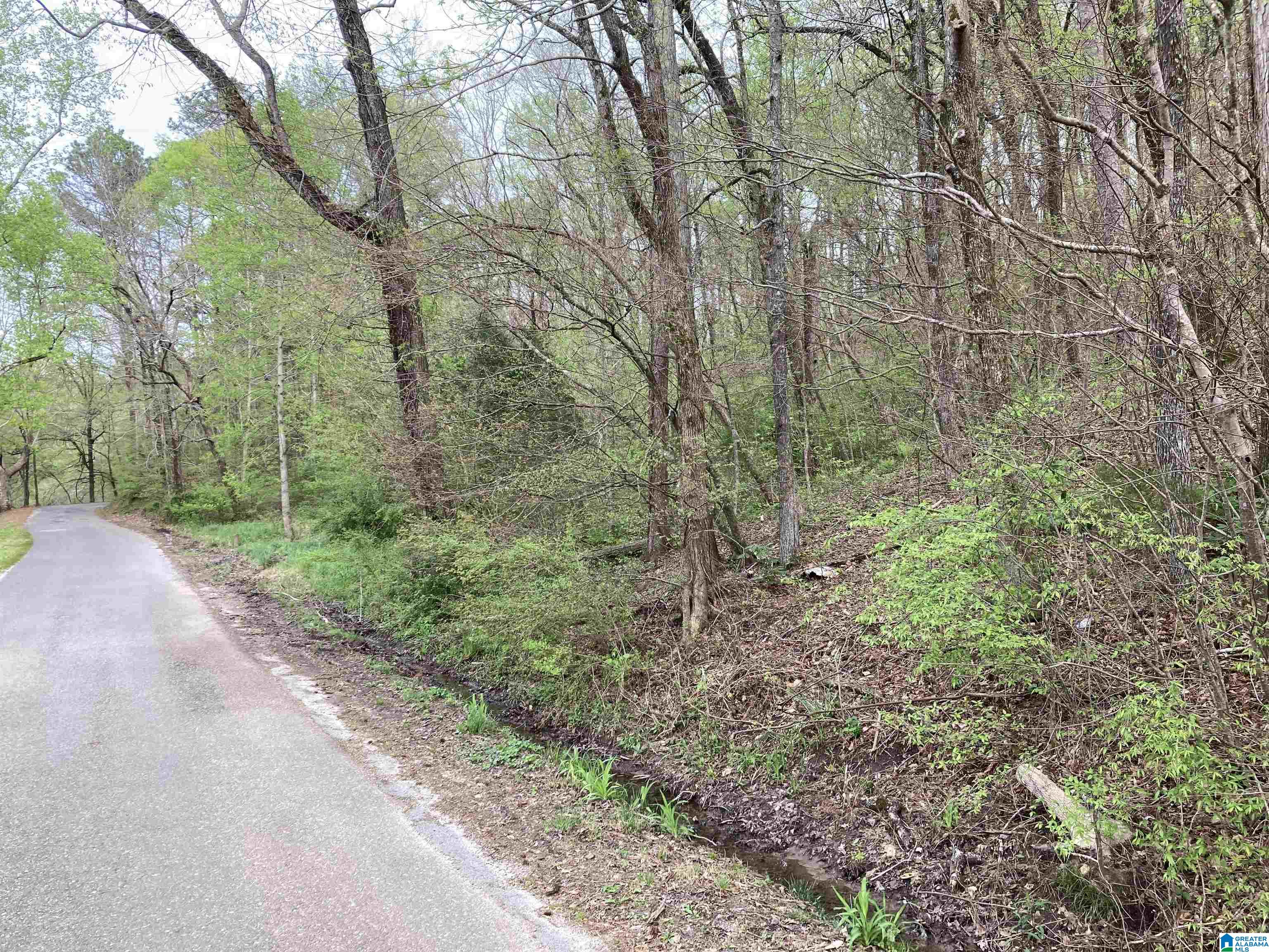 0 Aderholdt Mill Road Jacksonville, AL 36265 - Photo 3 of 6