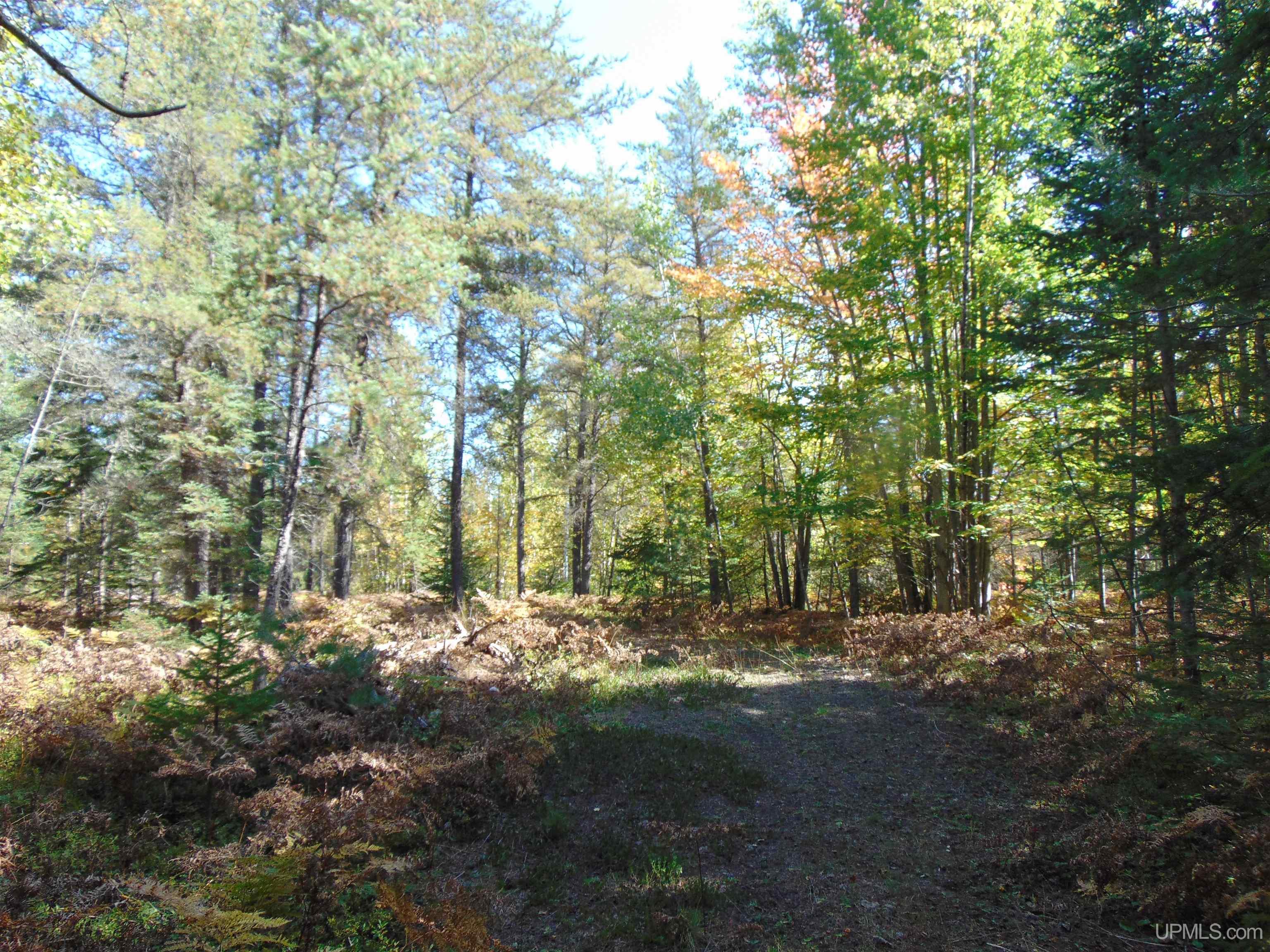 1 Rice Lake Road Hancock, MI 49930 - Photo 20 of 31