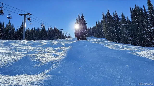 a view of a yard with palm tree