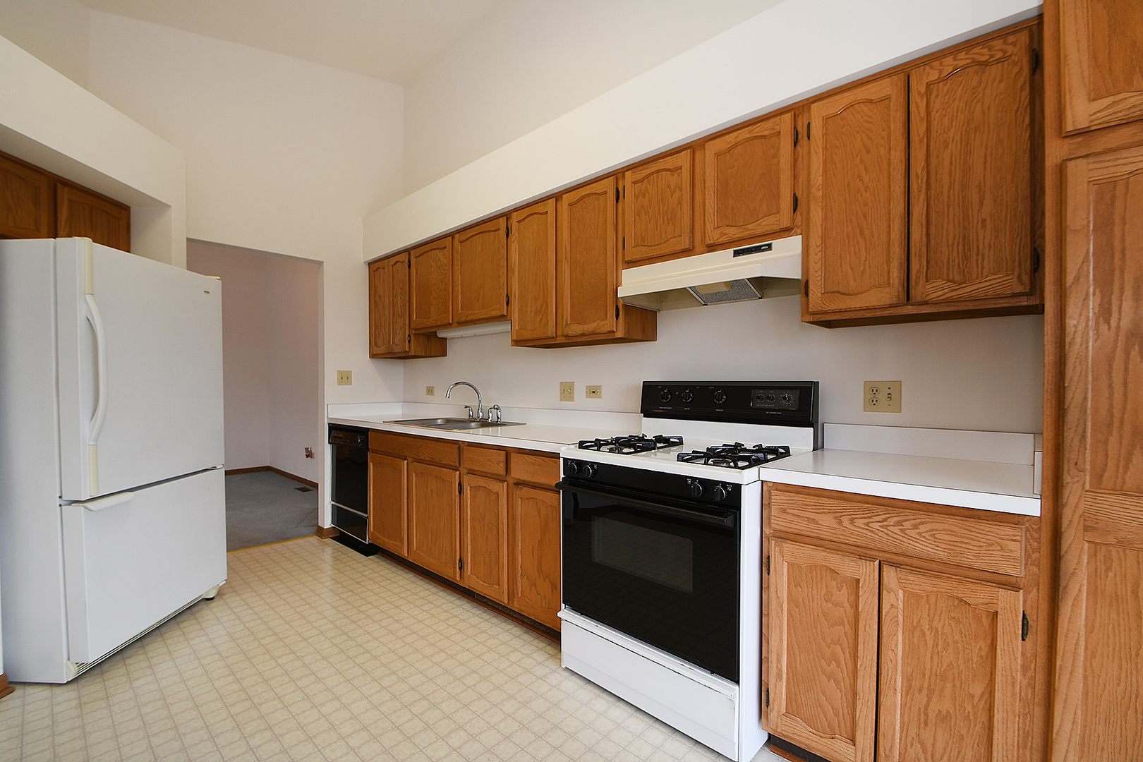 2312 Olde Mill Road Plainfield, IL 60586 - Photo 10 of 23