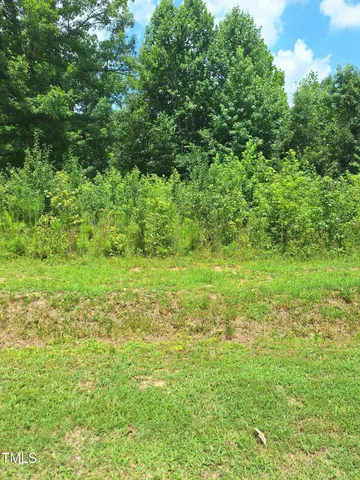 a view of yard with green space