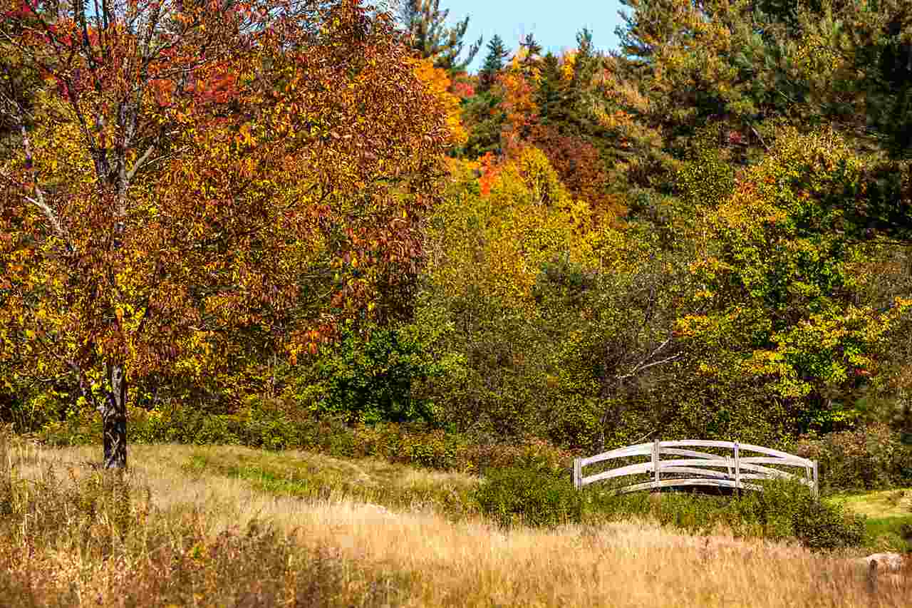 116 Cody Road Landgrove, VT 05148 - Photo 33 of 39