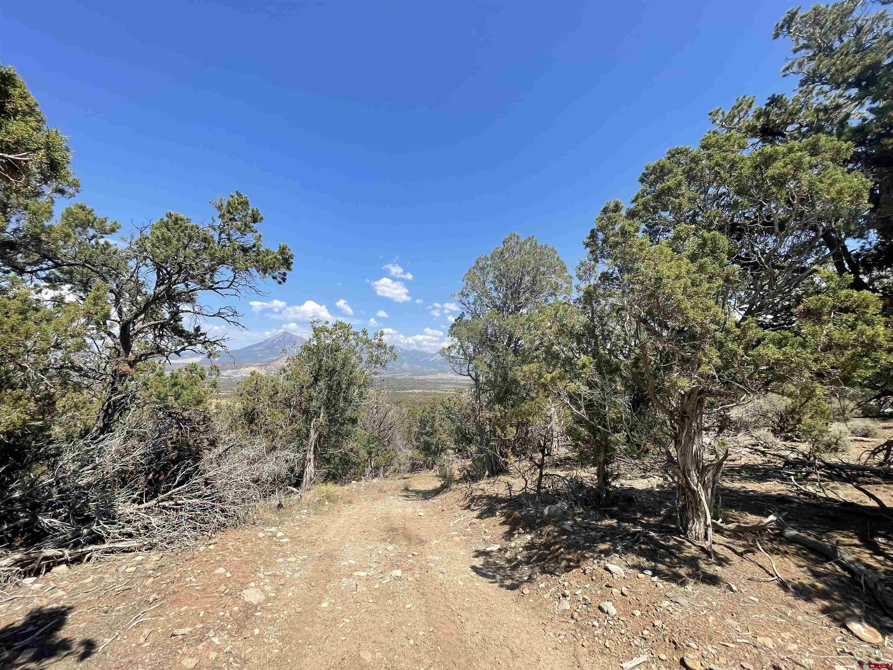 1093 7745 Road Crawford, CO 81415 - Photo 28 of 33 Gallery Image 28