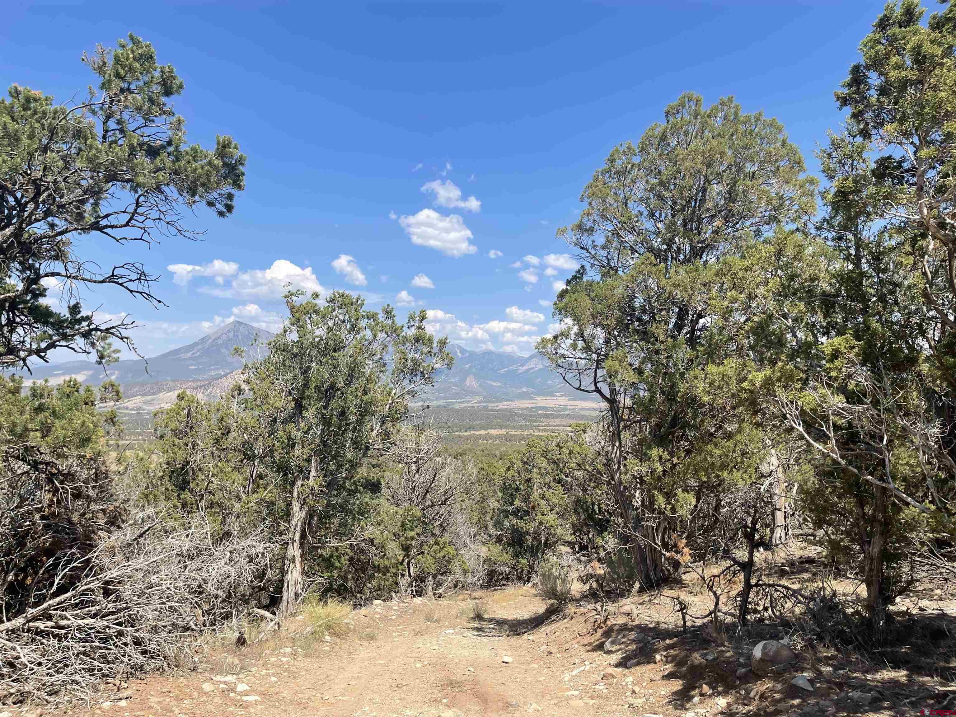 1093 7745 Road Crawford, CO 81415 - Photo 30 of 33 Gallery Image 30