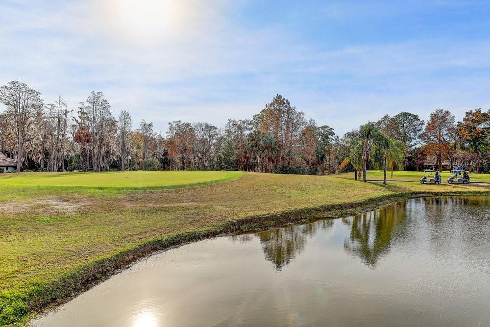 3454 Niblick Court New Port Richey, FL 34655 - Photo 3 of 54 a view of a lake with a yard