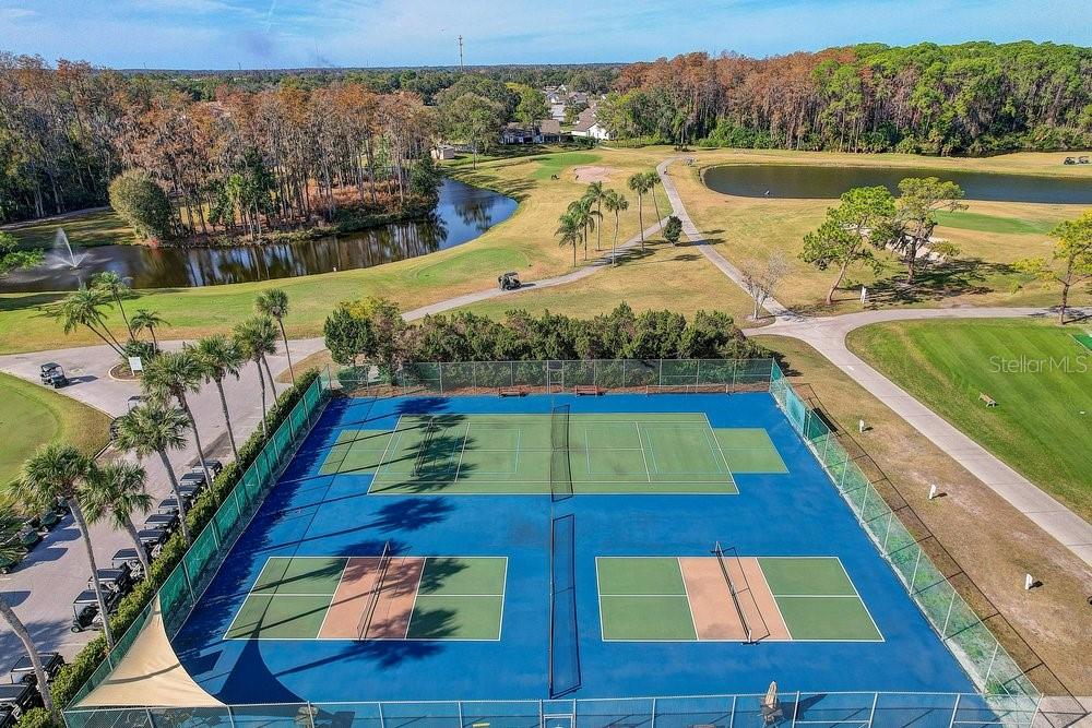 3454 Niblick Court New Port Richey, FL 34655 - Photo 46 of 54 a view of swimming pool with seating area and trees in the background