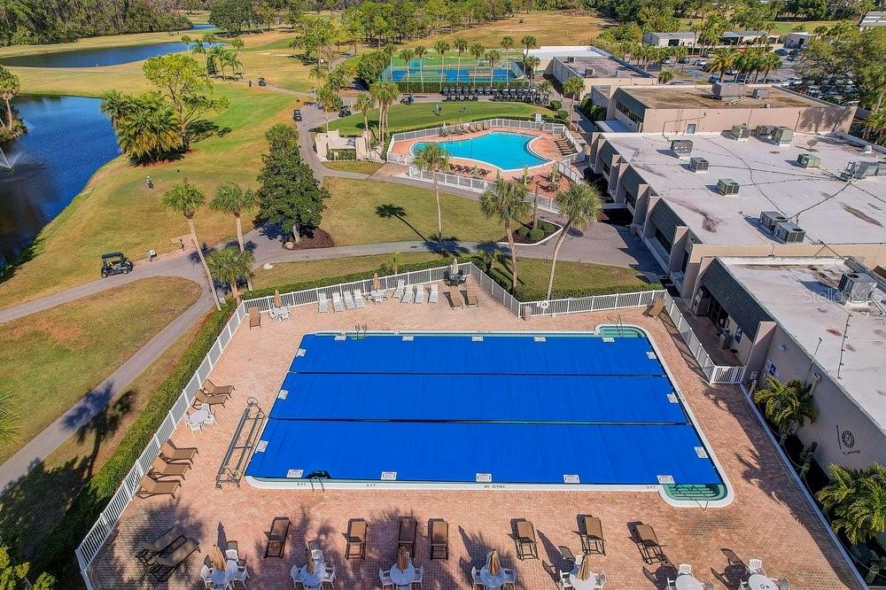 3454 Niblick Court New Port Richey, FL 34655 - Photo 49 of 54 a view of a swimming pool with a lounge chairs