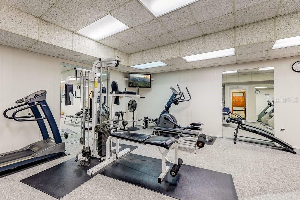 3454 Niblick Court New Port Richey, FL 34655 - Photo 52 of 54 a view of a room with gym equipment