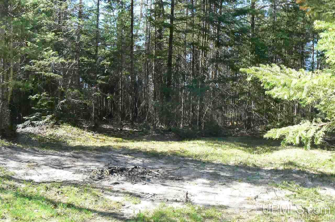 E7588 Co Road Wetmore, MI 49895 - Photo 15 of 16