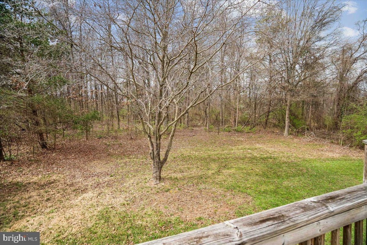 8010 Craddock Road Greenbelt, MD 20770 - Photo 42 of 49 a view of a yard with wooden fence