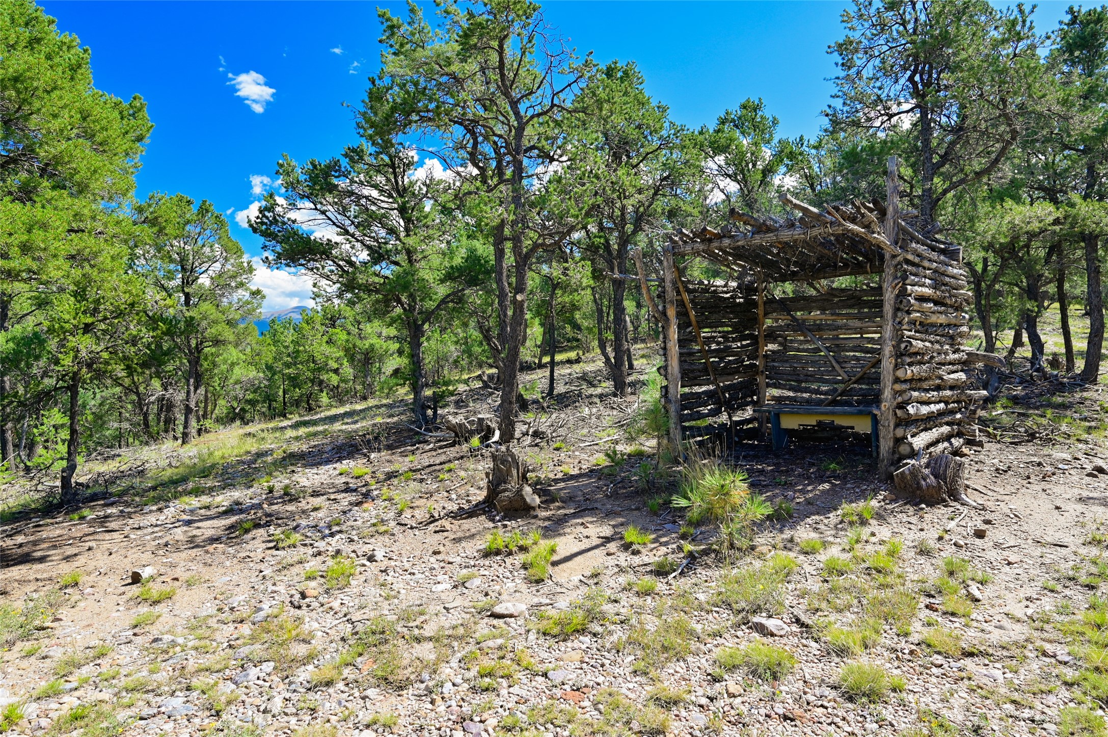 157 Pacheco Road Llano, NM 87543 - Photo 75 of 94