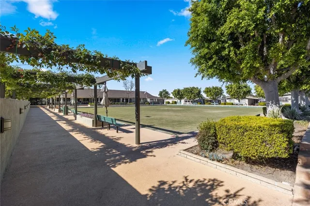 a view of a park with large trees