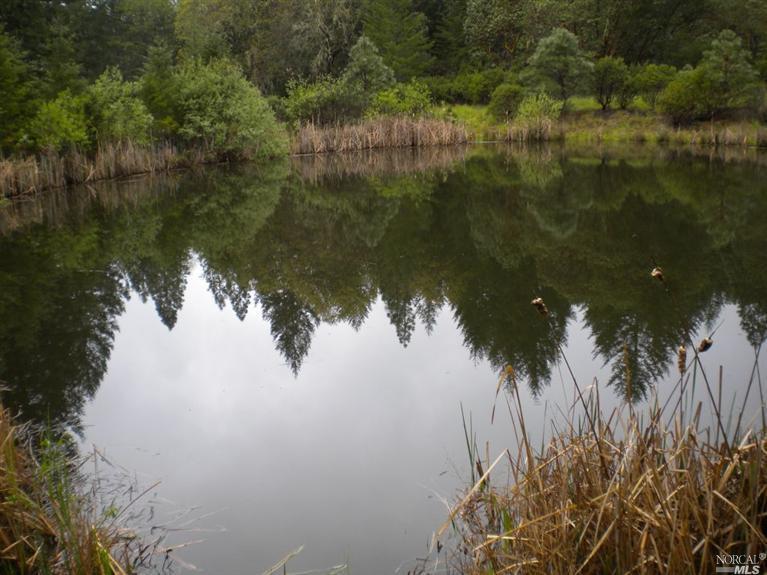 0 Cherry Creek Road Willits, CA 95490 - Photo 1 of 1 Spring fed pond is approx. 100 feet in diameter.