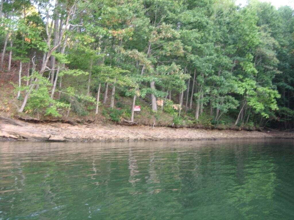 Lot 10 Lake Knoll Road Union Hall, VA 24176 - Photo 2 of 4 a view of a trees in a yard