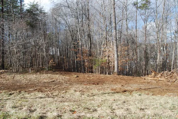 a view of large trees with yard