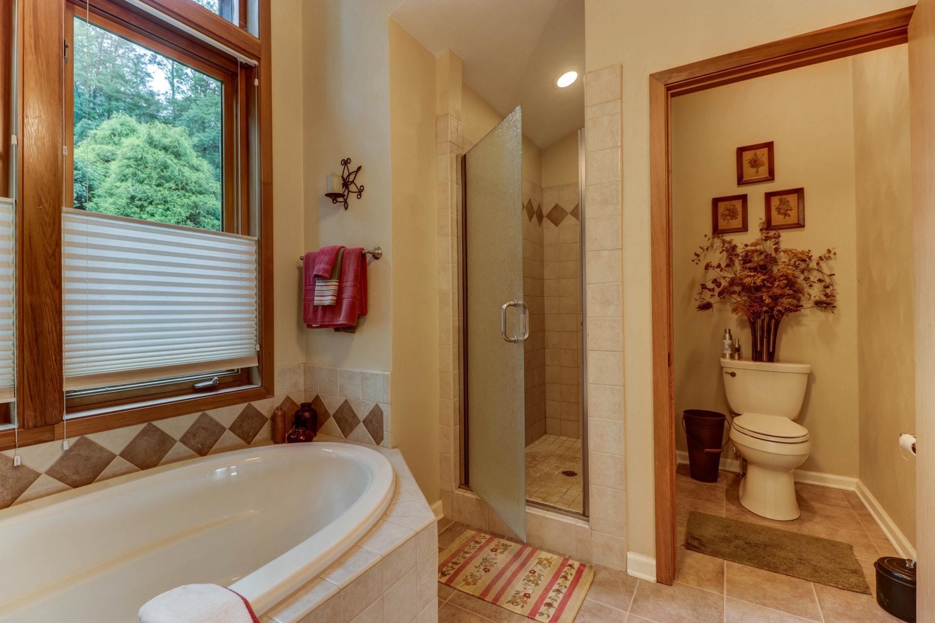 977 Juniper Road Hardy, VA 24101 - Photo 29 of 63 Master Bath