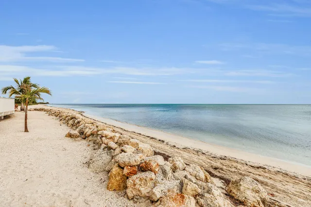 a view of ocean view with beach