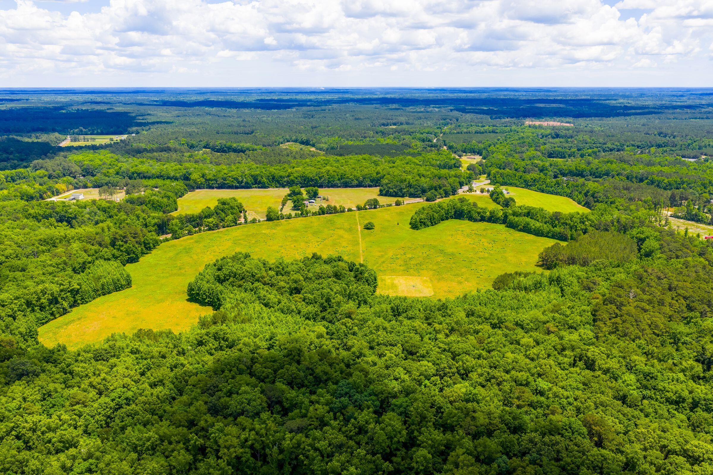 0 Rehoboth Road Cottageville, SC 29435 - Photo 25 of 35 RehobothRd-KeenEyeMarketing-025