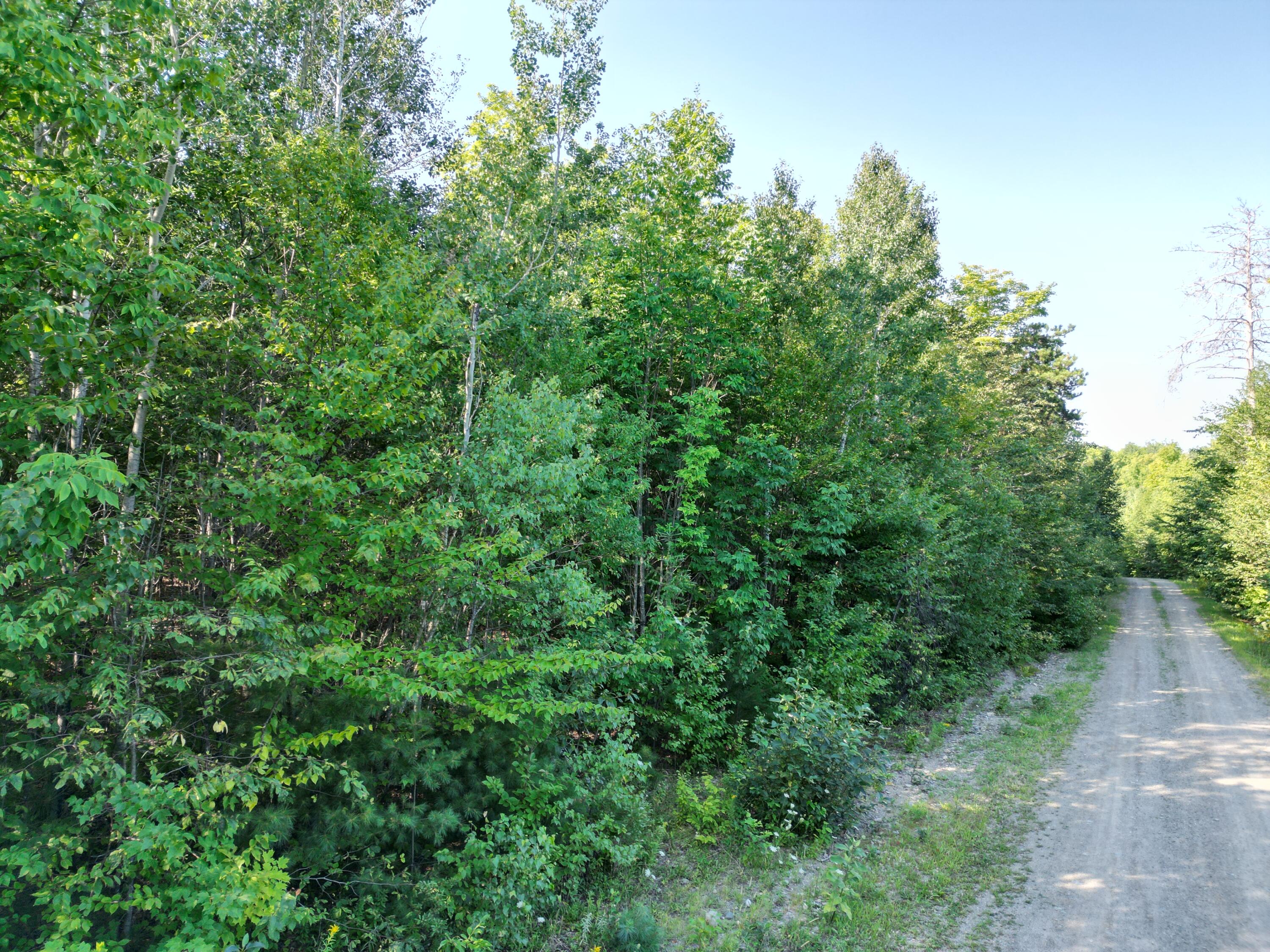 29 Spaulding Lane Lee, ME 04455 - Photo 3 of 14 DJI_0976